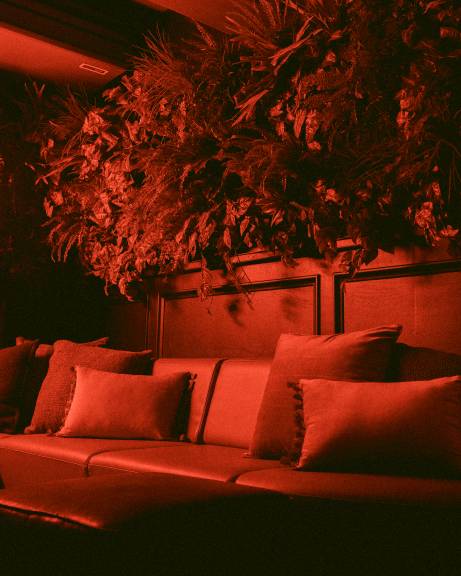 The-Cellar-Bar (27).jpg The-Cellar-Bar (27).jpg