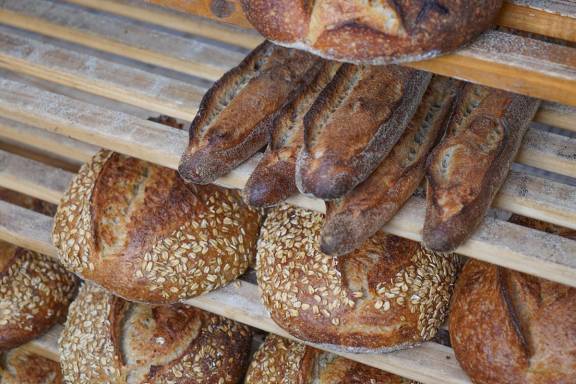 Daily Bread Daily Bread