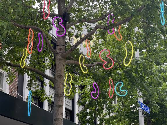 Christmas 2023 decorations - squiggled on Queen Street 