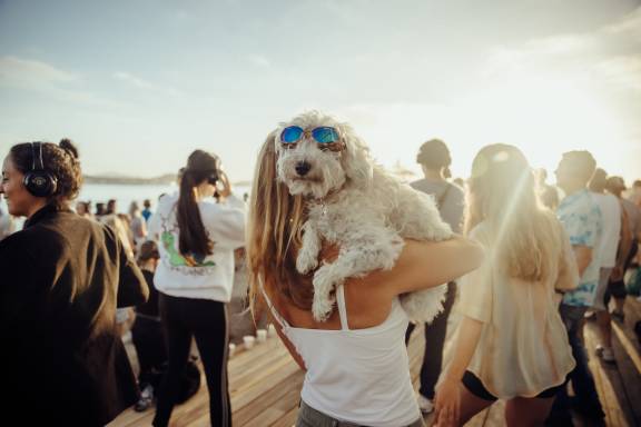 Summer on Queens Wharf Summer on Queens Wharf