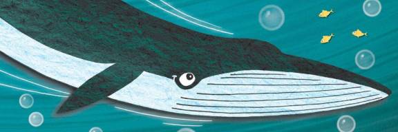 Tales of Tīkapa Moana