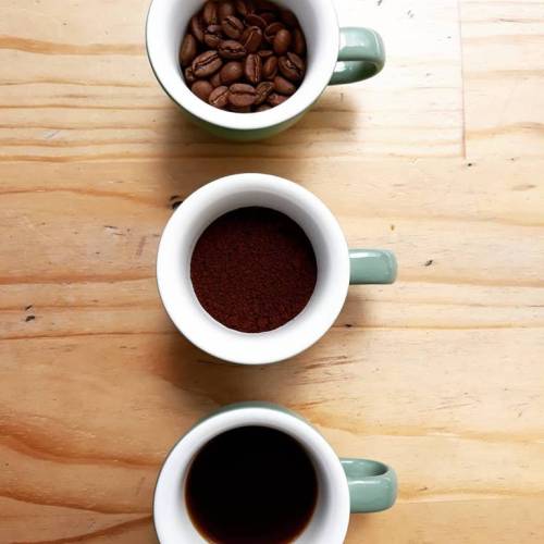 Little Owl Coffee Little Owl Coffee