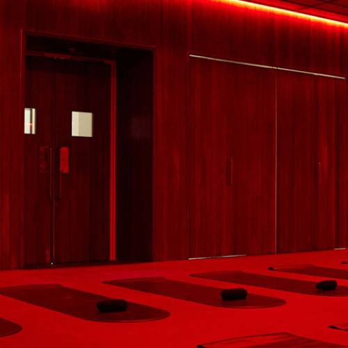 Redroom Wellness
