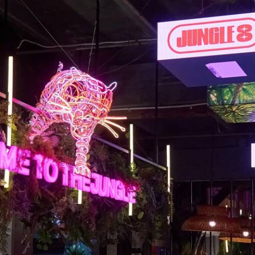 JUNGLE 8
