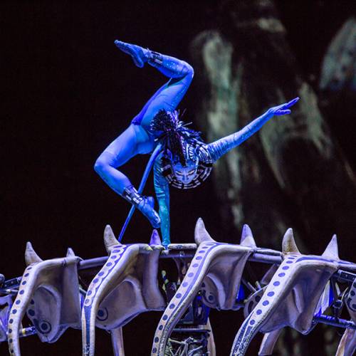 Cirque Du Soleil: Toruk - The First Flight