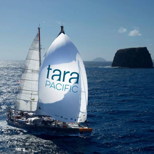 Tara Boat Tours and Outdoor Exhibition