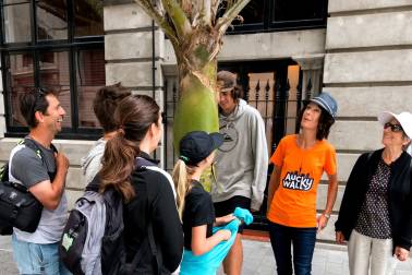 Tourists on a walking tour
