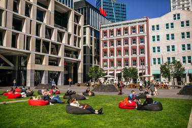 Grass area in the city