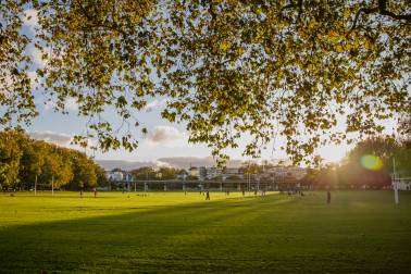 Park during sunset