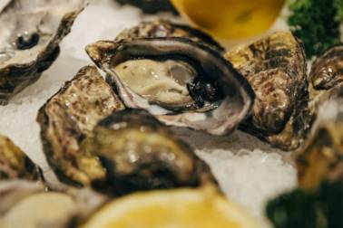 Oyster and chop