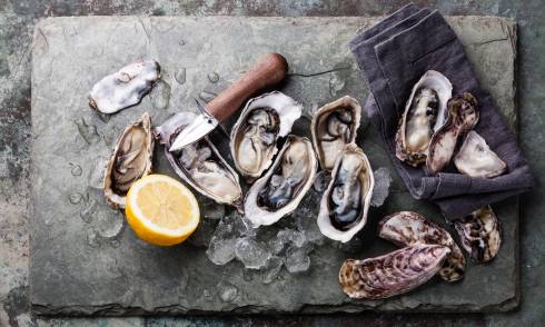 Oyster Masterclasses