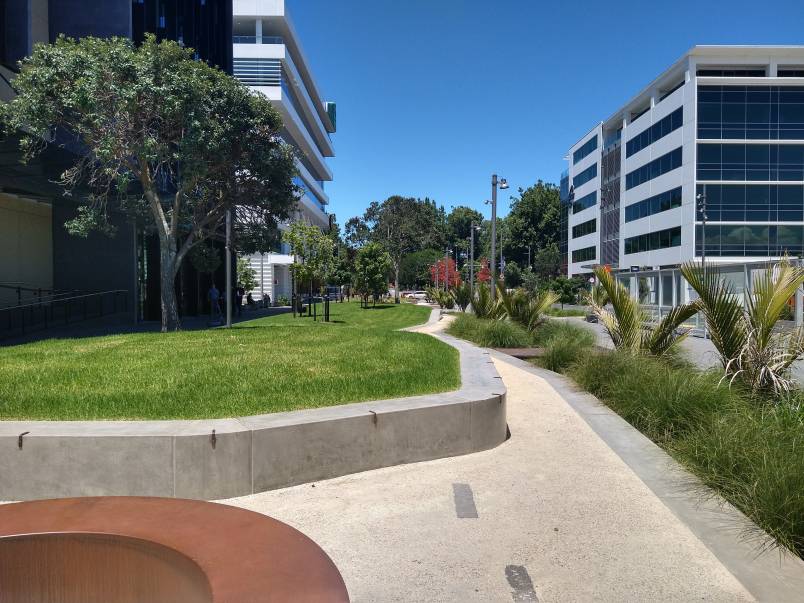 Daldy Street linear park: attractive landscaping including grass, tree, seating and path in Wynyard Quarter